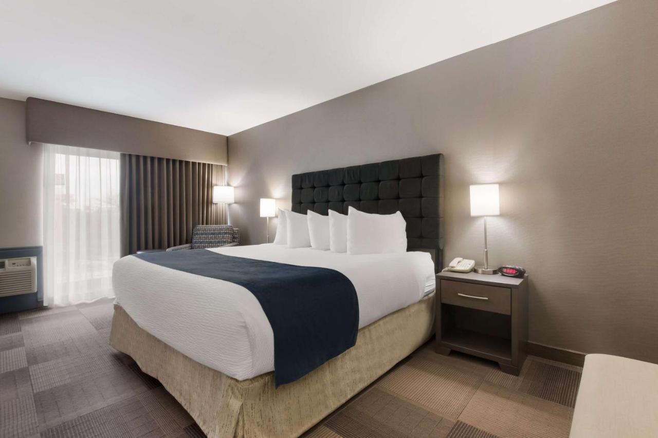 Best Western St Catharines Hotel & Conference Centre Sainte-Catherine Eksteriør bilde