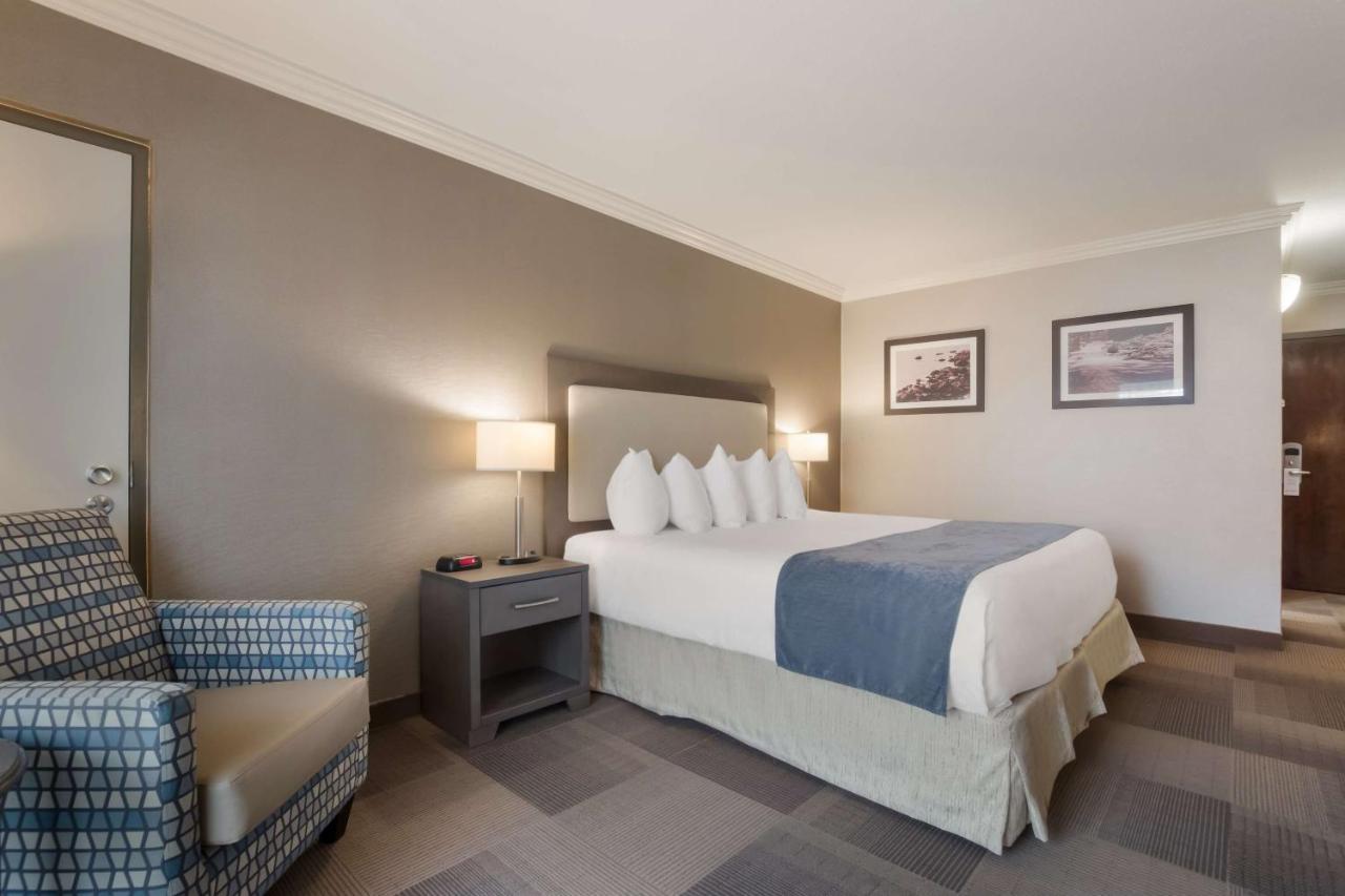 Best Western St Catharines Hotel & Conference Centre Sainte-Catherine Eksteriør bilde